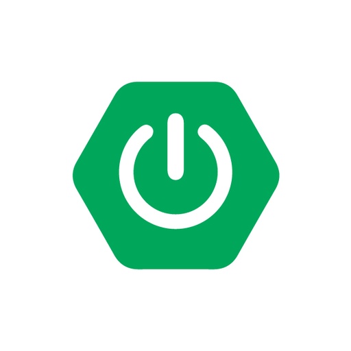 Spring Boot Developer